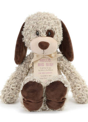 Demdaco Gift From The New Kid - Big Sister