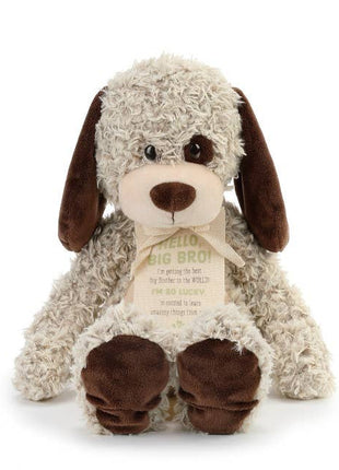 Demdaco Gift from the New Kid: Big Brother