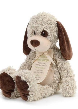 Demdaco Gift from the New Kid: Big Brother