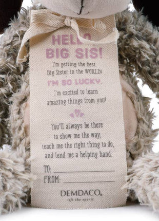 Demdaco Gift From The New Kid - Big Sister Quote