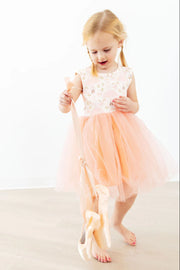Blush Ballet Tank Tutu Dress