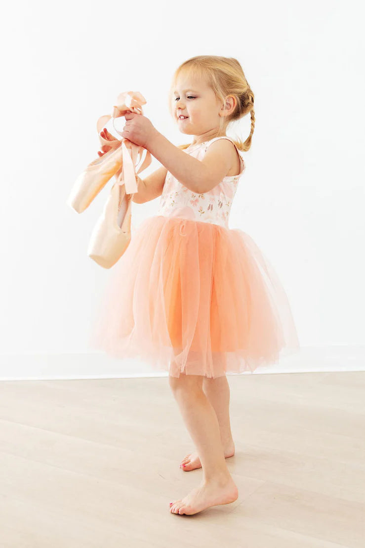 Blush Ballet Tank Tutu Dress