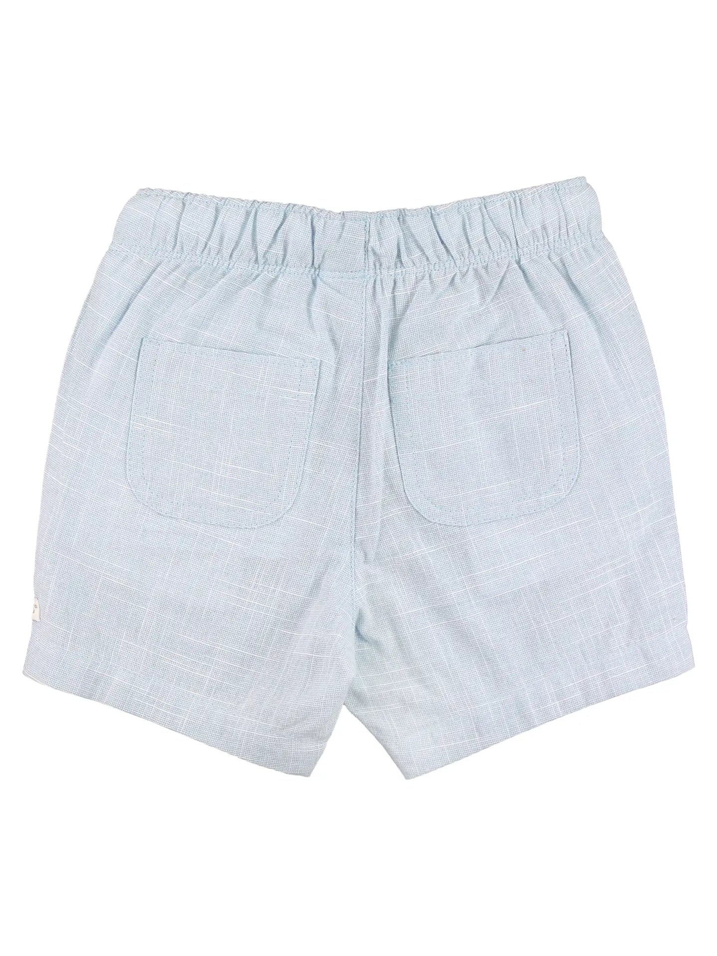 Windsurfer Blue Woven Pull-On Shorts