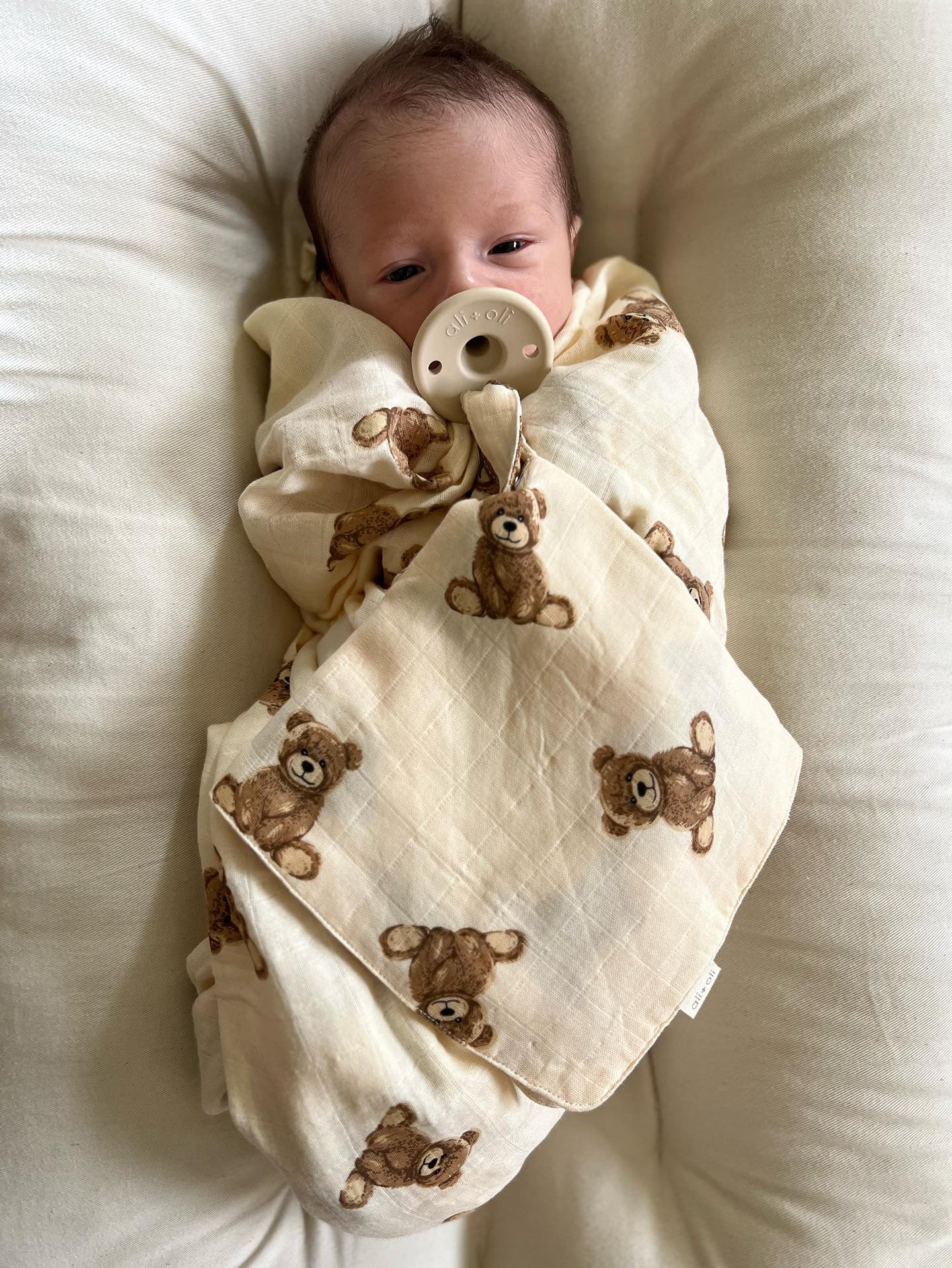Model Using Ali + Oli Pacifier Blanket Holder Bamboo Muslin (Teddy Bear)