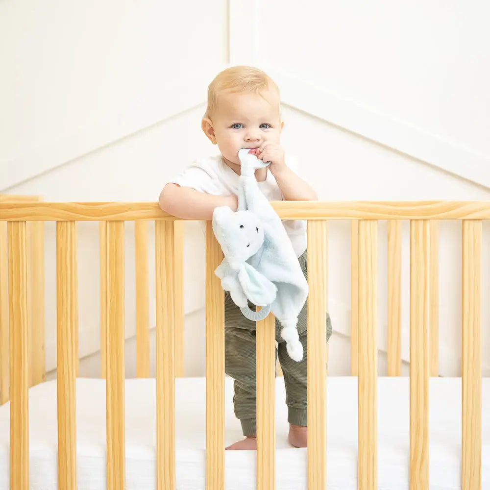 Model Using Bella Tunno Teether Buddy Danny the Dog