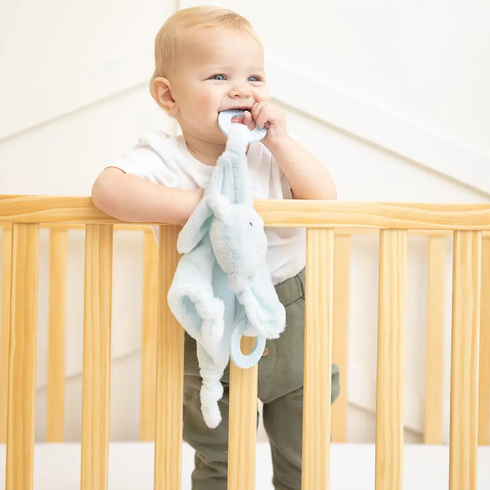 Model Using Bella Tunno Teether Buddy Danny the Dog