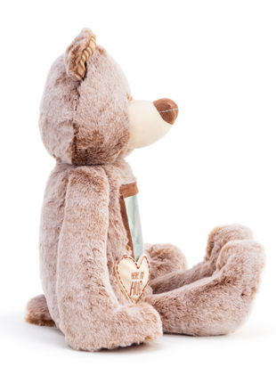 Here to Hug Bear