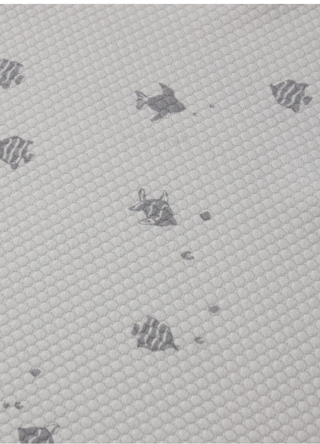 Finn Rashguard + Short Set || Fish