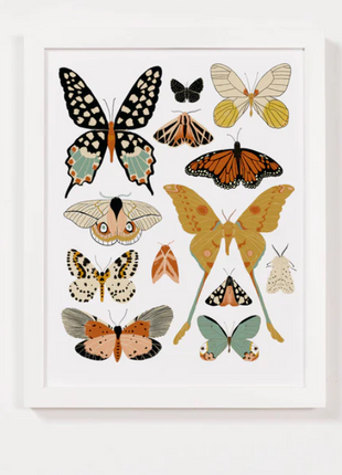 Butterfly Collector Art (Portrait)