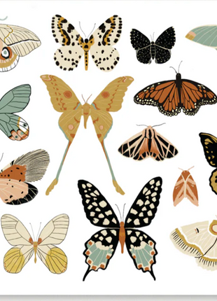 Butterfly Collector Art (Landscape)