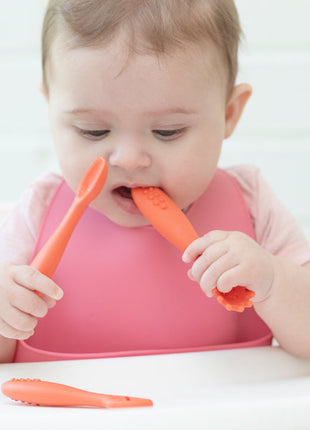 Model Using Bella Tunno Garden Party Learn to Eat Beginner Bundle