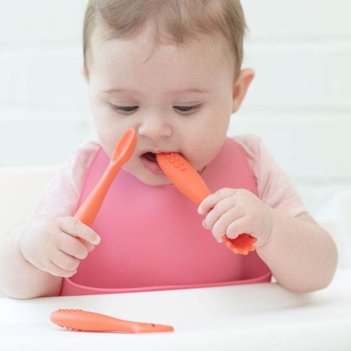 Model Using Bella Tunno Garden Party Learn to Eat Beginner Bundle