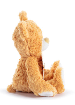 Demdaco Happy Birthday Orange Bear - 8in Side
