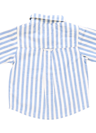 Pink Chicken Boys Jack Shirt - Blue Stripe Back