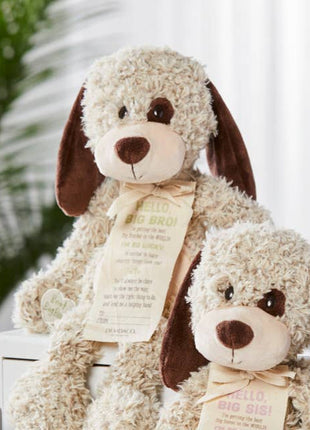 Demdaco Gift from the New Kid: Big Brother with Big Sister Option 