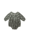 Evergreen / 3-6M