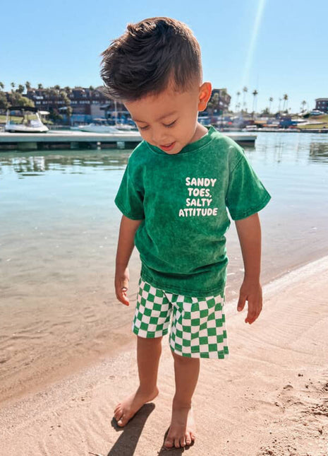 Holland Ave Sandy Toes, Salty Attitude | Baby, Toddler, Youth Summer Tee