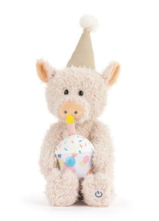 Demdaco Piggy Wigg The Mechanical Singing Birthday Pig Front
