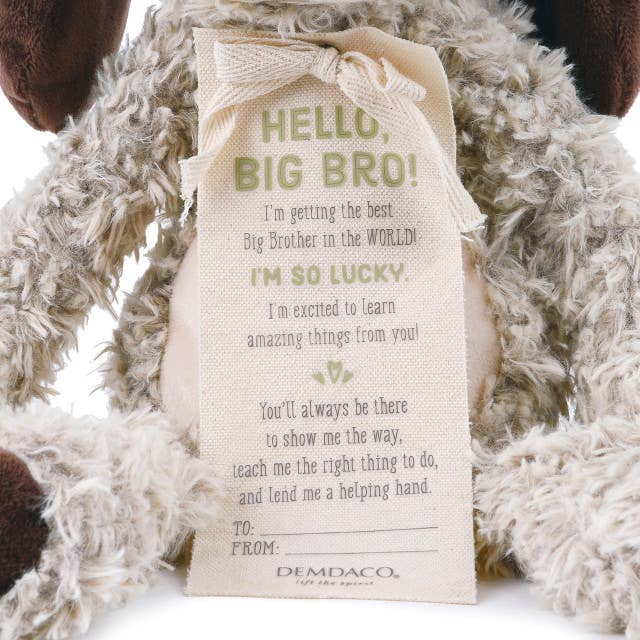 Demdaco Gift from the New Kid: Big Brother quote