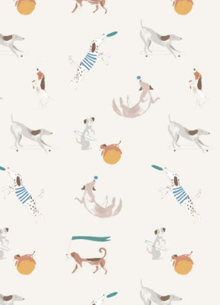 Howlarious Modal Magnetic Footie