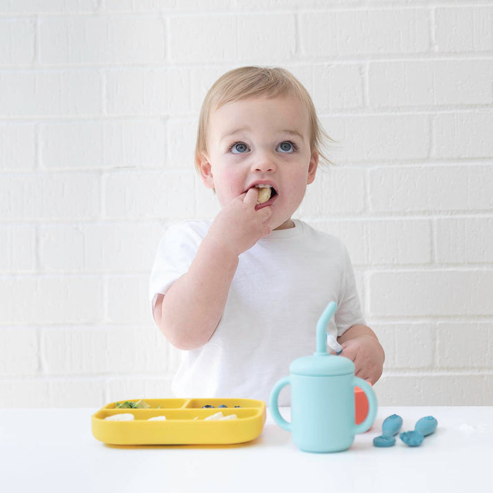 Model Using Bella Tunno Circus Fun Learn to Eat Beginner Bundle
