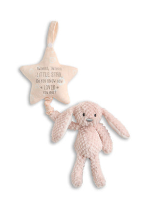 Demdaco Musical Pull Toy - Bunny