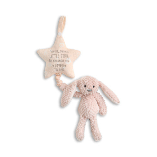 Demdaco Musical Pull Toy - Bunny