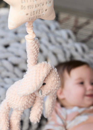 Model Using Demdaco Musical Pull Toy - Bunny