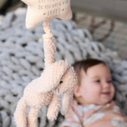 Model Using Demdaco Musical Pull Toy - Bunny