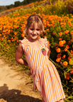 Orange / 8Y