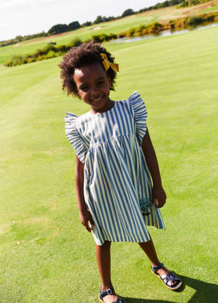 Sarita Dress - Blue Stripe