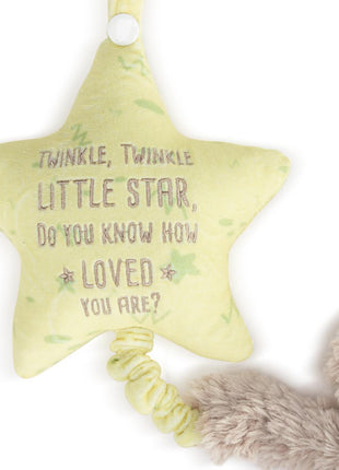 Demdaco Musical Pull Toy - Sloth