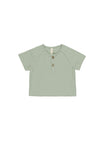 Sage / 3-6M