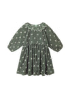Evergreen / 2-3Y
