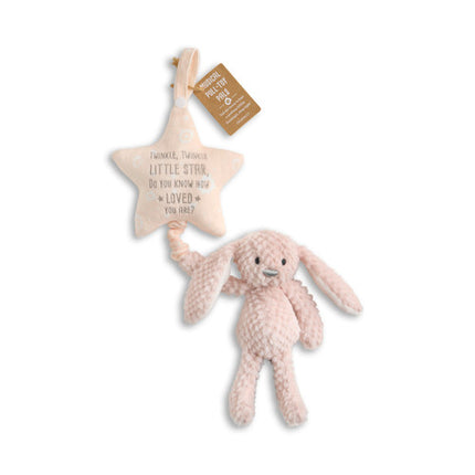 Demdaco Musical Pull Toy - Bunny
