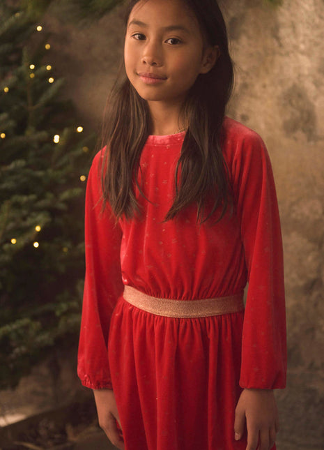 Holiday Stars Crushed Velour Dress